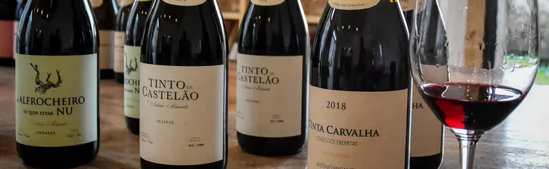 Etikett von Maçanita Tinto
