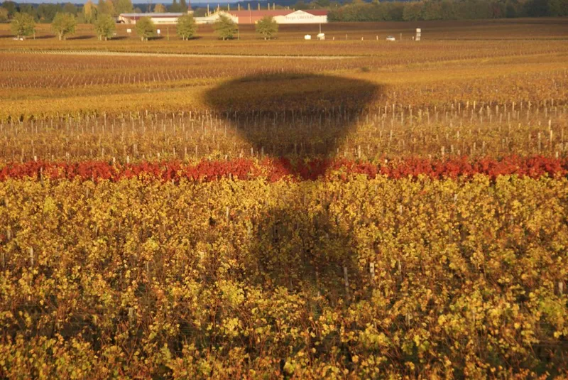 Etikett von Clos Vougeot Le Grand Maupertui