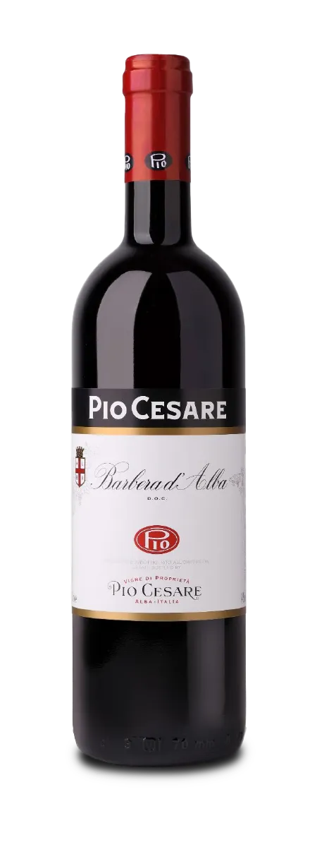 Etikett von Barbera d'Alba