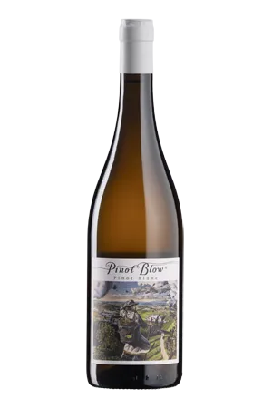 Etikett von KTCN – Pinot Blow
