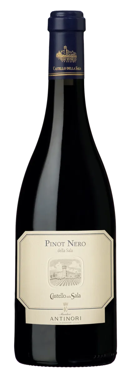 Etikett von Pinot Nero della Sala