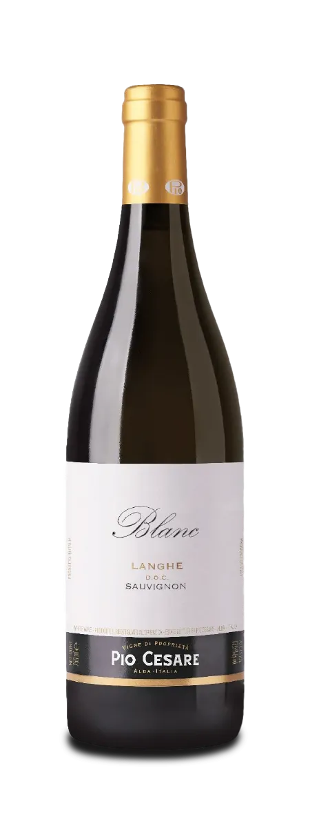 Etikett von "Blanc" Langhe Sauvignon