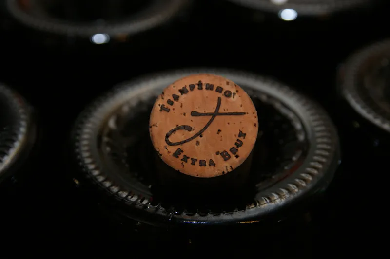 Etikett von Brut X