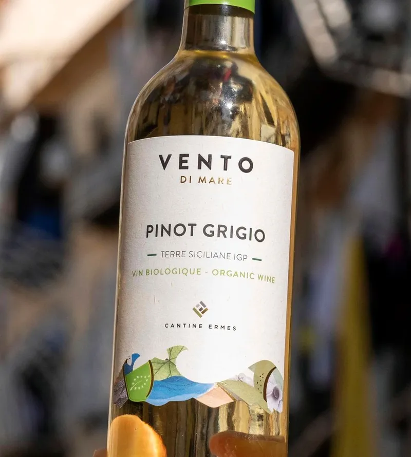 Etikett von Vento di Mare Pinot Grigio Bio