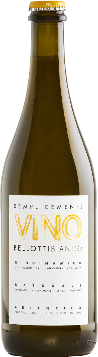 Etikett von Semplicemente Vino Bianco