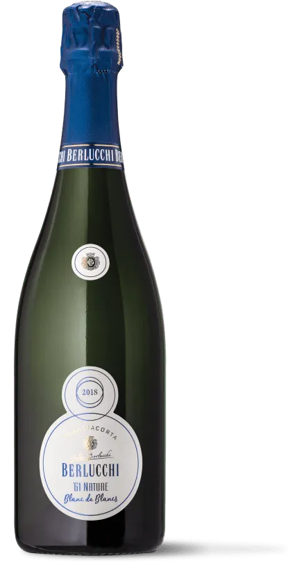 Etikett von Berlucchi '61 Nature Blanc de Blancs