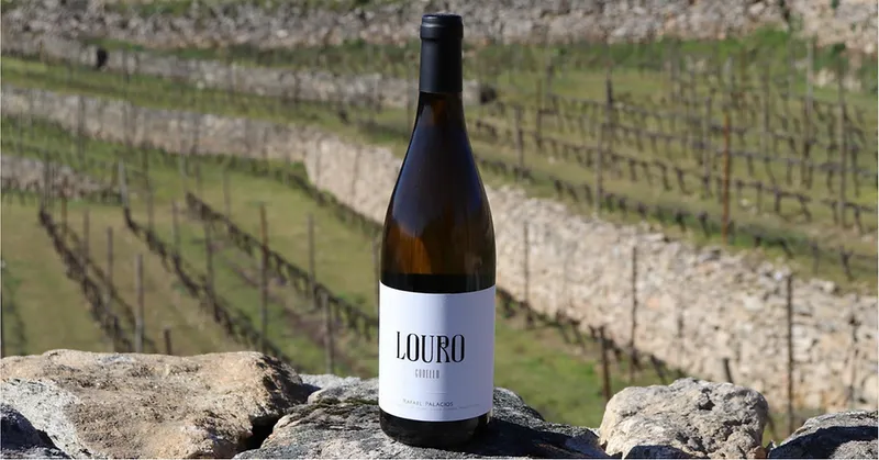 Etikett von Louro do Bolo