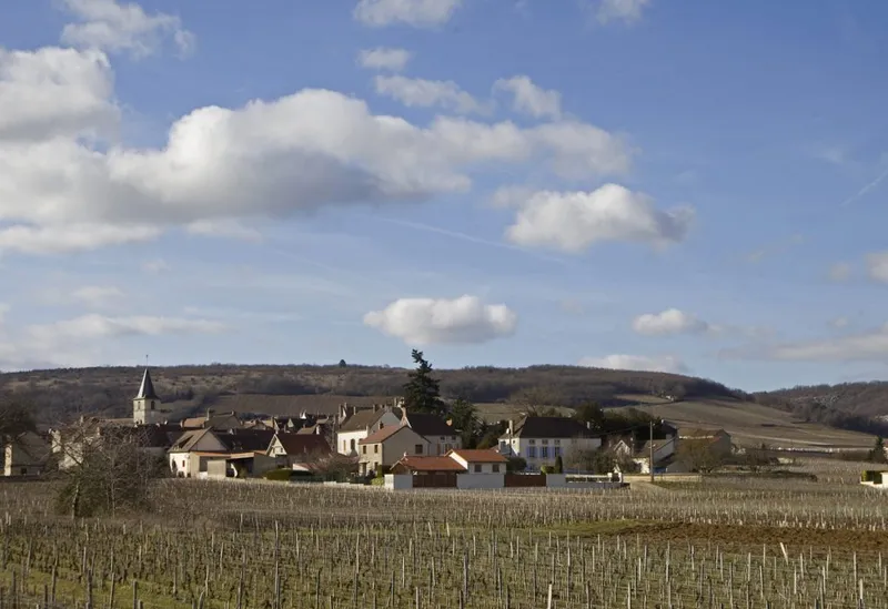 Etikett von Vosne-Romanée Les Clous